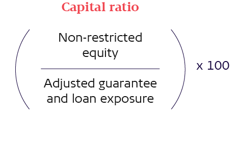 Equation: Capital ratio
