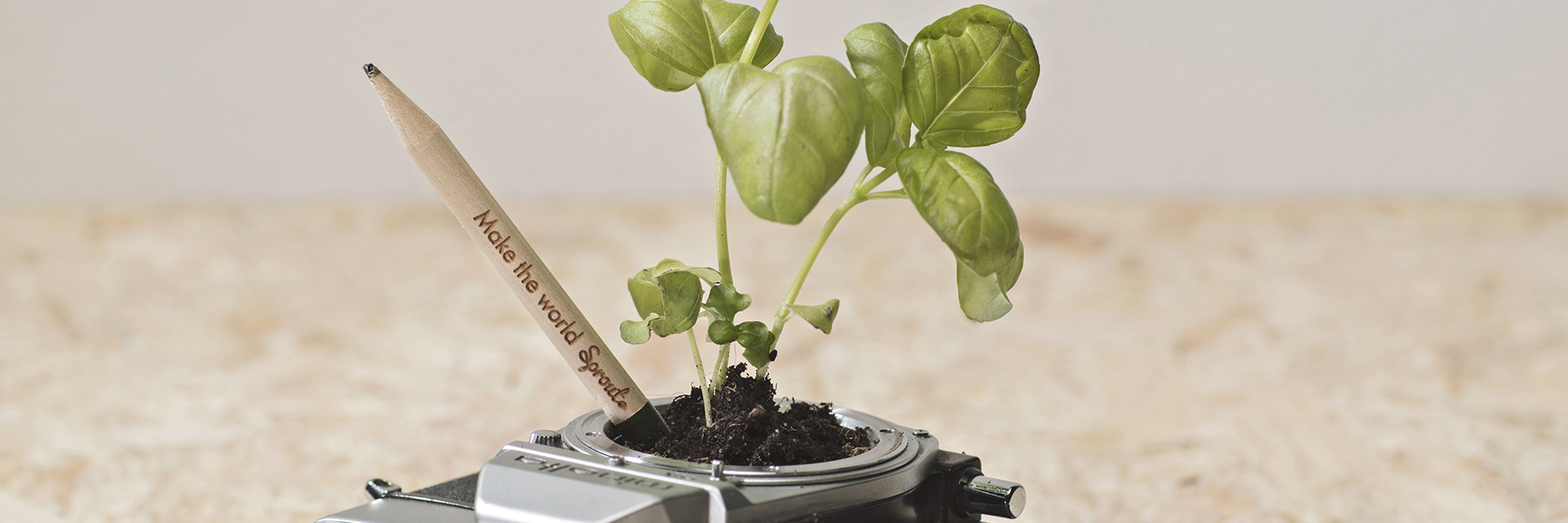 Foto: Sprout-blyant og basilikum