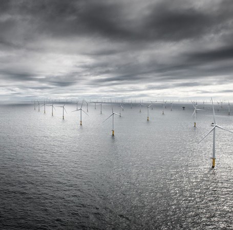 Belgisk Wind Farm Northwind leveret af Vestas Wind System.