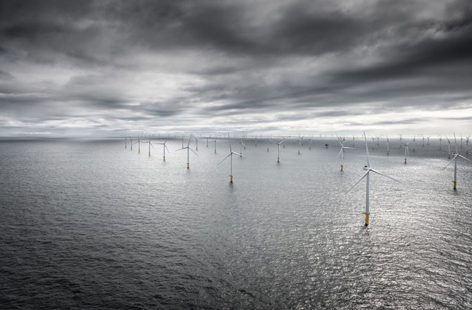 Belgisk Wind Farm Northwind leveret af Vestas Wind System.
