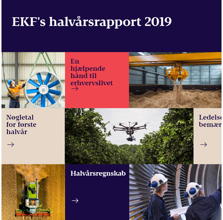 Billede af EKF's halvårsrapport for 2019