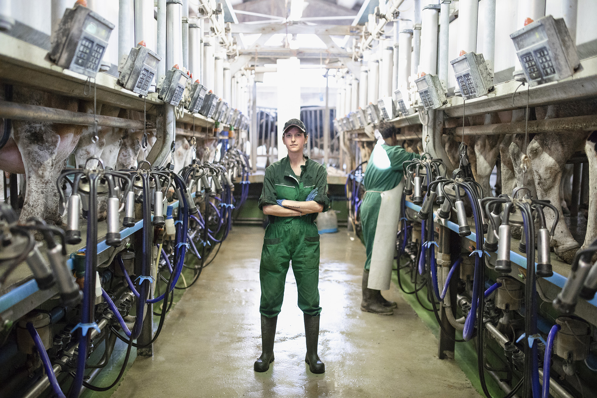 En mælkeproducent står i en hal med malkemaskiner.